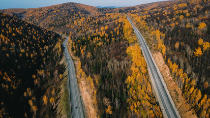 Beautiful road in the autumn forest