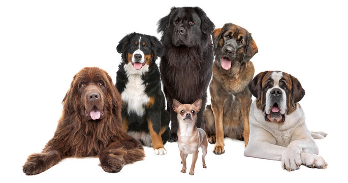 me and my big friends
