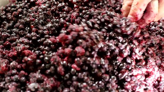 Stir with a spoonful of blueberry jam. Making jam from wild blueberries, jam