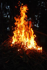 fire was burning in the dark