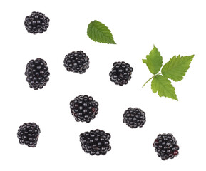 Blackberries isolated on white background, top view