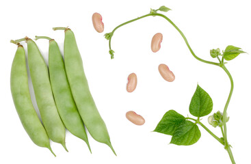 Beans isolated on white background, top view