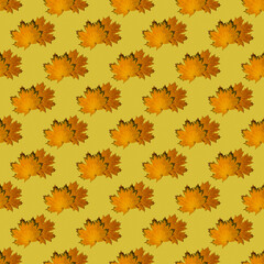 Seamless pattern of dry autumn maple leaves on a bright yellow background. Autumn print on fabric, wrapping paper