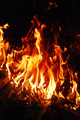 fire was burning in the dark