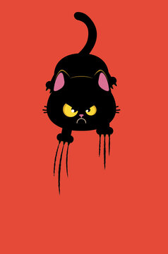 Angry black cat scratching