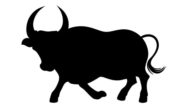 Silhouette of bull