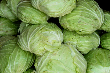 Brassica oleracea var. capitata(Cabbage)Lots of cabbage, on a tray, for sale, in a pedestrian market.