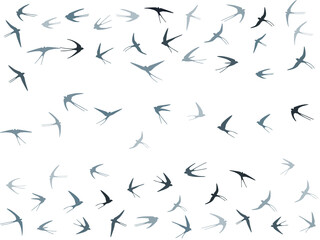 Flying swallow birds silhouettes vector illustration. Migratory martlets swarm isolated on white. 