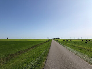 Frisian landscape with windmills