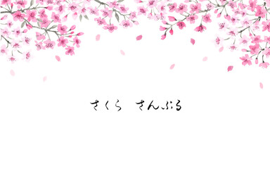 桜の背景　墨彩画