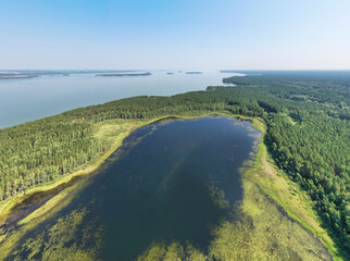 Aerial photo panorama of forest boggy lake in the Karakansky pine forest near the shore of the Ob reservoir.