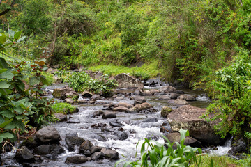 river under Kilimanjaro, Tanzania

