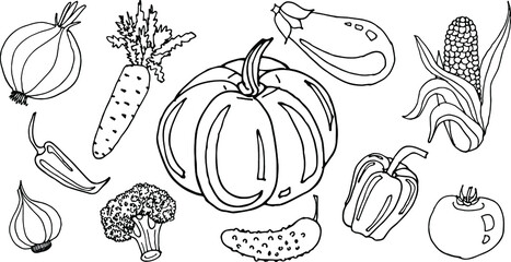 Hand-drawn vegetables set