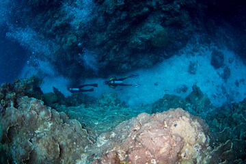 Fototapeta na wymiar Scuba divers exploring the reef