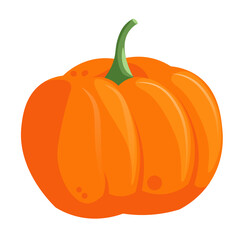 Rounded orange and yellow autumn pumpkin vector illustration isolated on white background