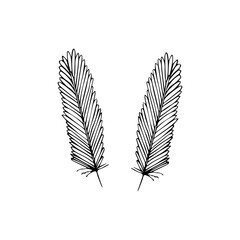 Hand drawn feathers set on white background