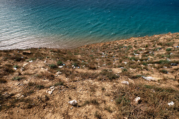 Garbage dumped on the seashore on the dried grass. Pollution of the environment and seas with...
