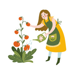 Girl watering tomato with watering can. Young Woman Working in Garden or Farm. Vector Illustration isolated on the white background.