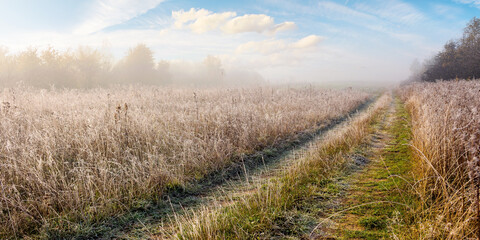 empty rural fields in morning mist. countryside scenery in autumn.