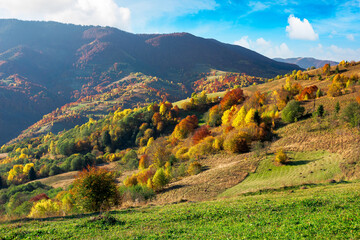 Fototapeta na wymiar beautiful mountain landscape on a sunny day. wonderful countryside scenery in autumn season. rural fields and trees in colorful foliage on the distant rolling hills