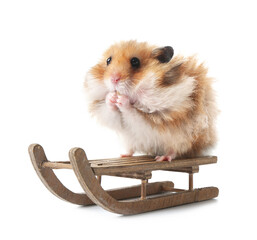 Funny hamster with sledges on white background
