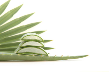 Aloe vera leaves and slice on a white background.