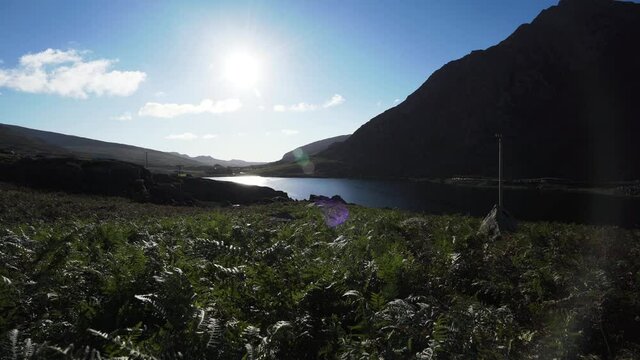 Strong sunlight shining onto mountain bracken