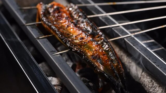 炭火焼き鰻