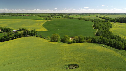Rzepaki Warmia © fasi79