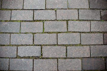 autumn leaves pattern on the stone pathway