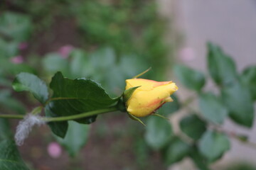 Москва в октябре