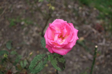 Москва в октябре