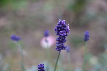 Москва в октябре