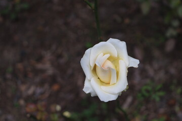 Москва в октябре