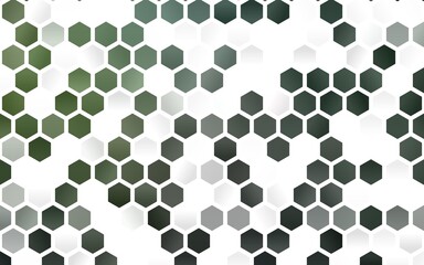 Light Green vector layout with hexagonal shapes.