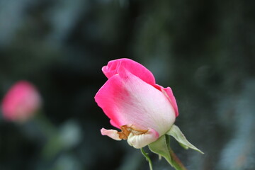 Москва в октябре