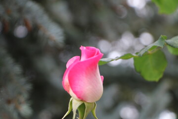 Москва в октябре