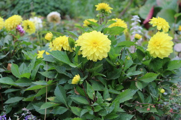 Москва в октябре