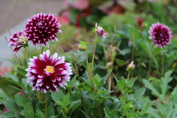 Москва в октябре