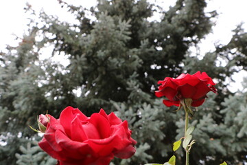 Москва в октябре