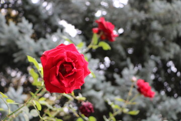 Москва в октябре