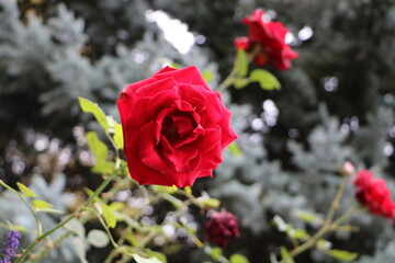 Москва в октябре