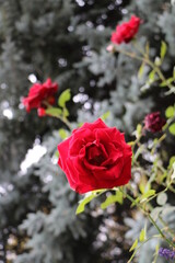 Москва в октябре