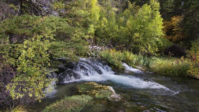 Panning view of Pine Creek flowing in the forest near Cokeville Wyoming.