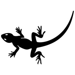 
Domestic reptile, lizard solid icon 
