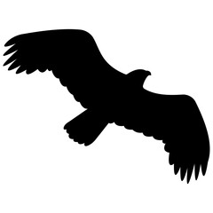 Obraz premium Flying hawk, eagle solid icon 