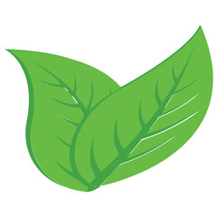 
Popular leaves flat icon
