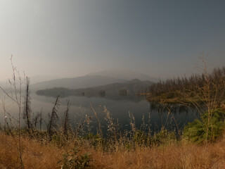 Smoked Out California