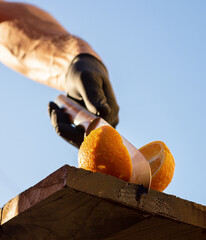 Man cutting fresh orange into two parts by knife