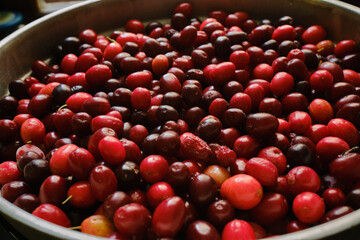 Black coat hanger and white coat of Doctor and Nurse